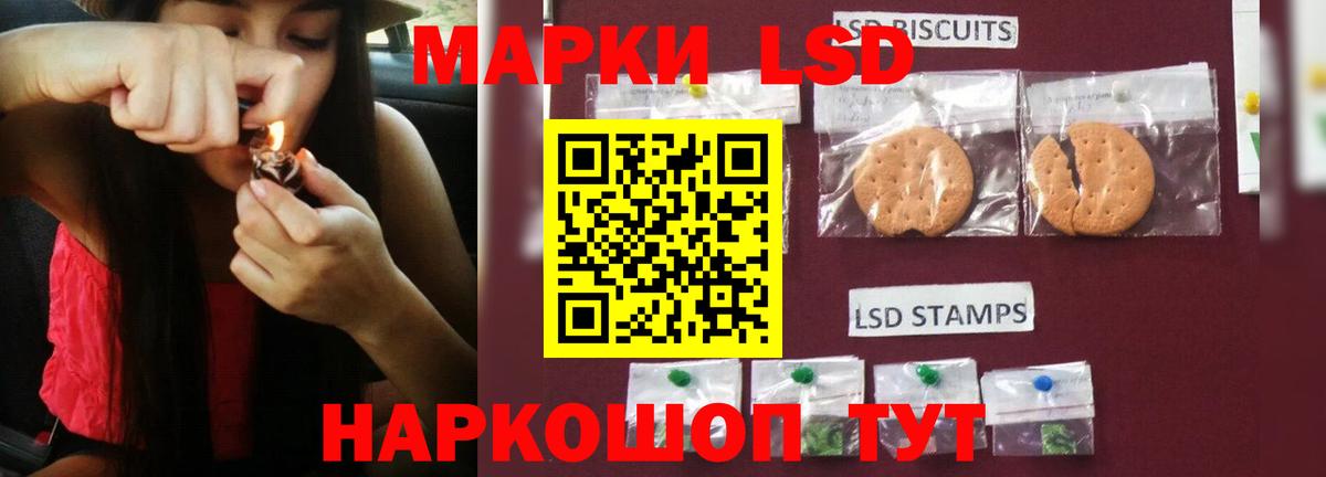 Сокол  Лсд 25 экстази  Вход с VPN  Лсд 25 экстази кислота 