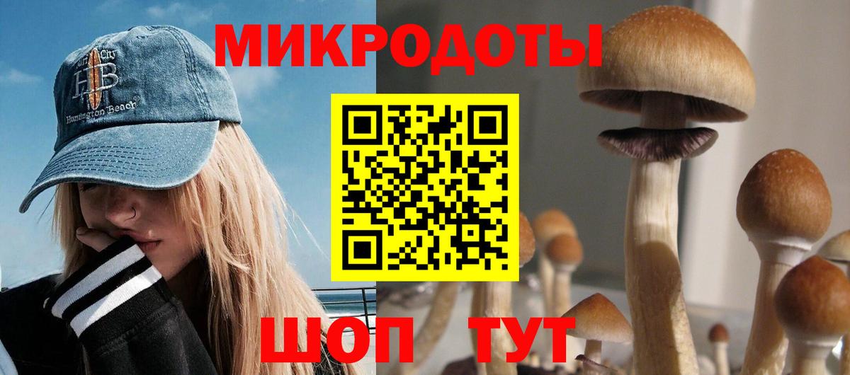 Галлюциногенные грибы мухоморы Сокол