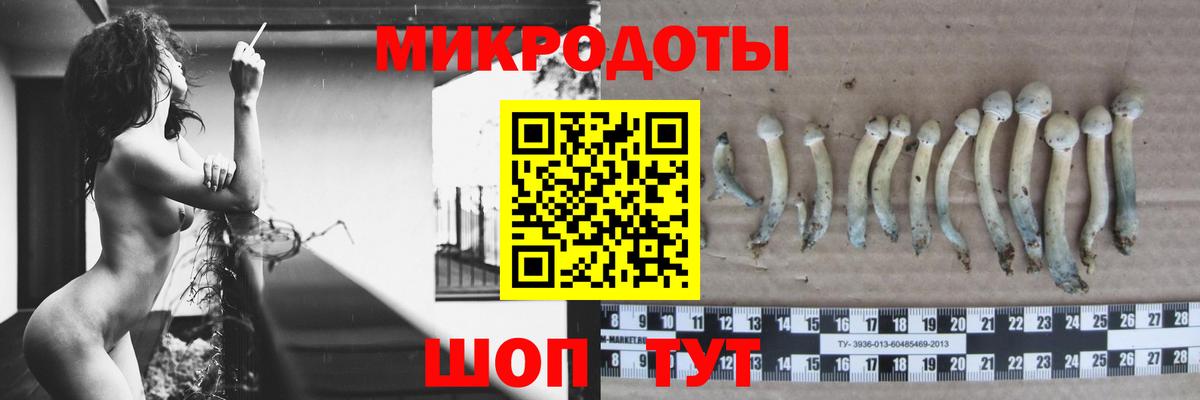 Галлюциногенные грибы GOLDEN TEACHER  Псилоцибиновые грибы прущие грибы  Вход с VPN  Сокол 